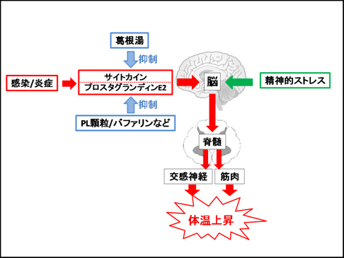 女性はオナニーしている？ イクためのやり方・グッズも紹介【医師監修】 ｜