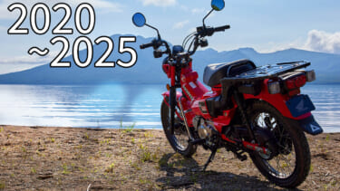 HONDA honda-zoomer-ruckus-125-cc-scooter occasion - Le Parking