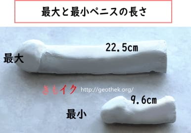 切らない長茎術 | ペニスを長くする方法とメリット | 包茎治療のマンモスクリニックグループ