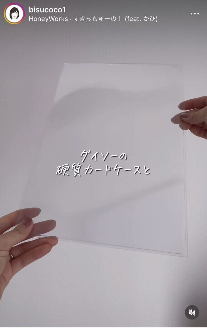 大人の100均財布界隈 私が選んだ100均ポーチはこれだ！！ふうか🌿.∘