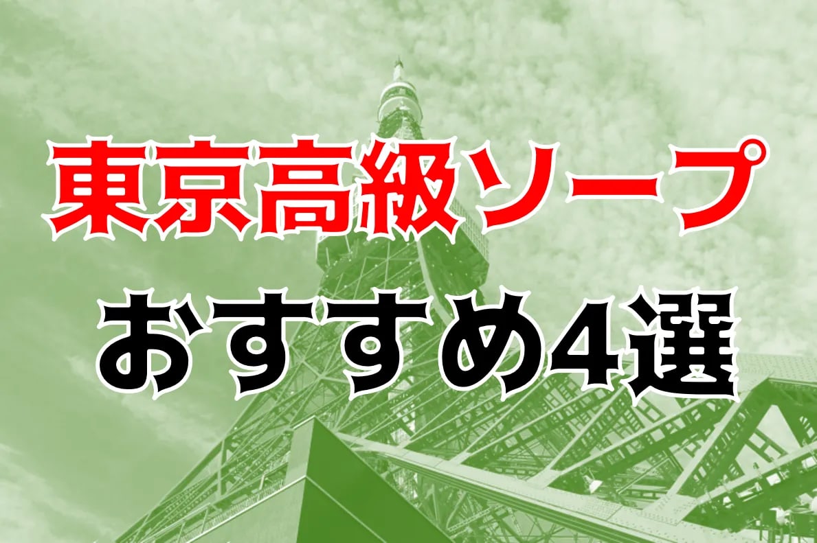 本番/NN/NS体験談！東京の高級ソープ4店を全55店舗から厳選！【2024年】 | Trip-Partner[トリップパートナー]