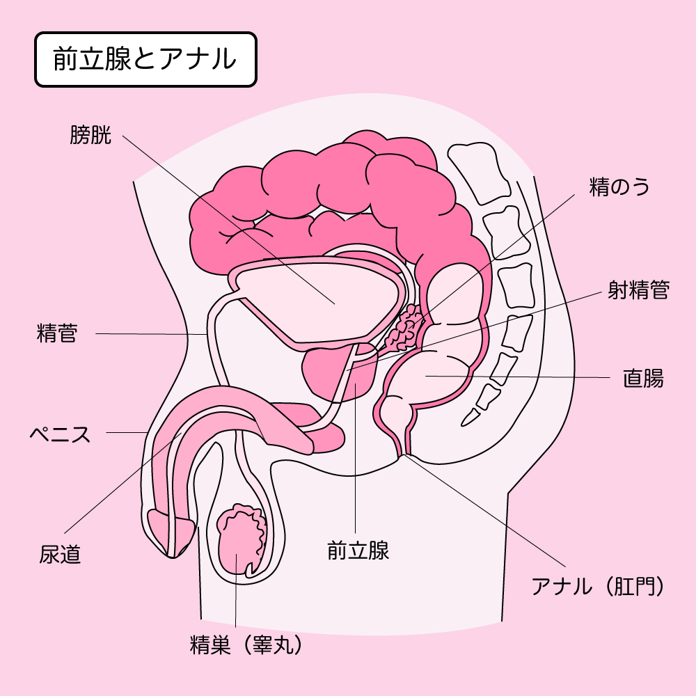 だめぇー！お尻気持ちいいっ…！」激しいフェラからの濃厚アナルSEXで超美形のクール系ギャルがメス堕ち！ケツ穴でマ○コより感じま - MASA