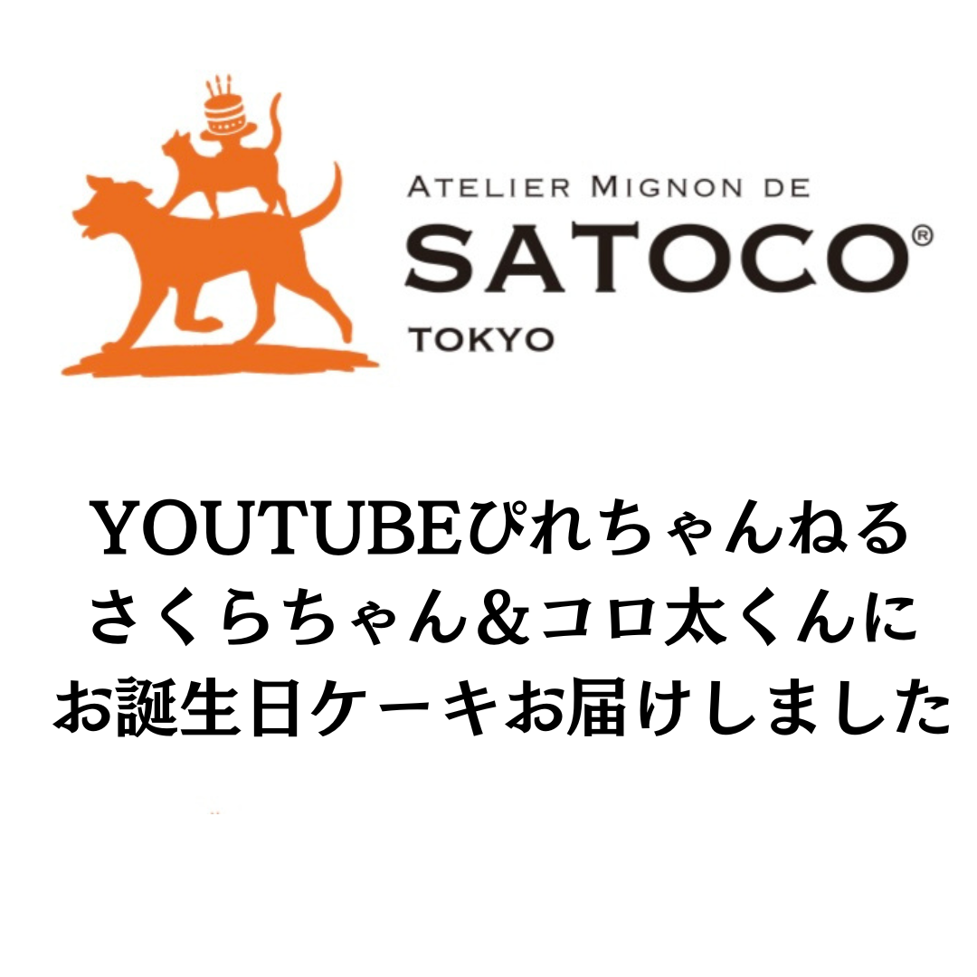 髙橋ひかる×神尾楓珠×里々佳「青野くんに触りたいから死にたい」スペシャル動画