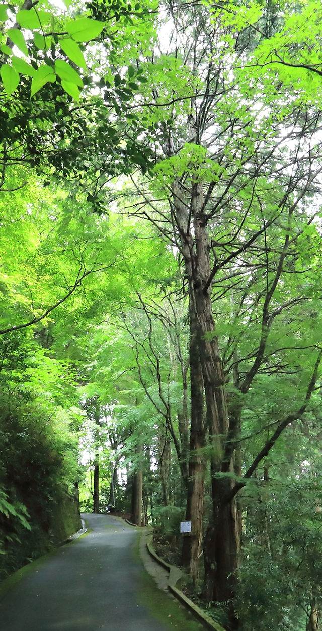 西江邸 予約・アクセス・割引クーポン - じゃらんnet