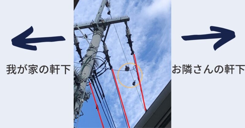 電線の鳥よけ 東京電力とNTTに費用を覚悟でお願いした話。興味を持ったことやってく