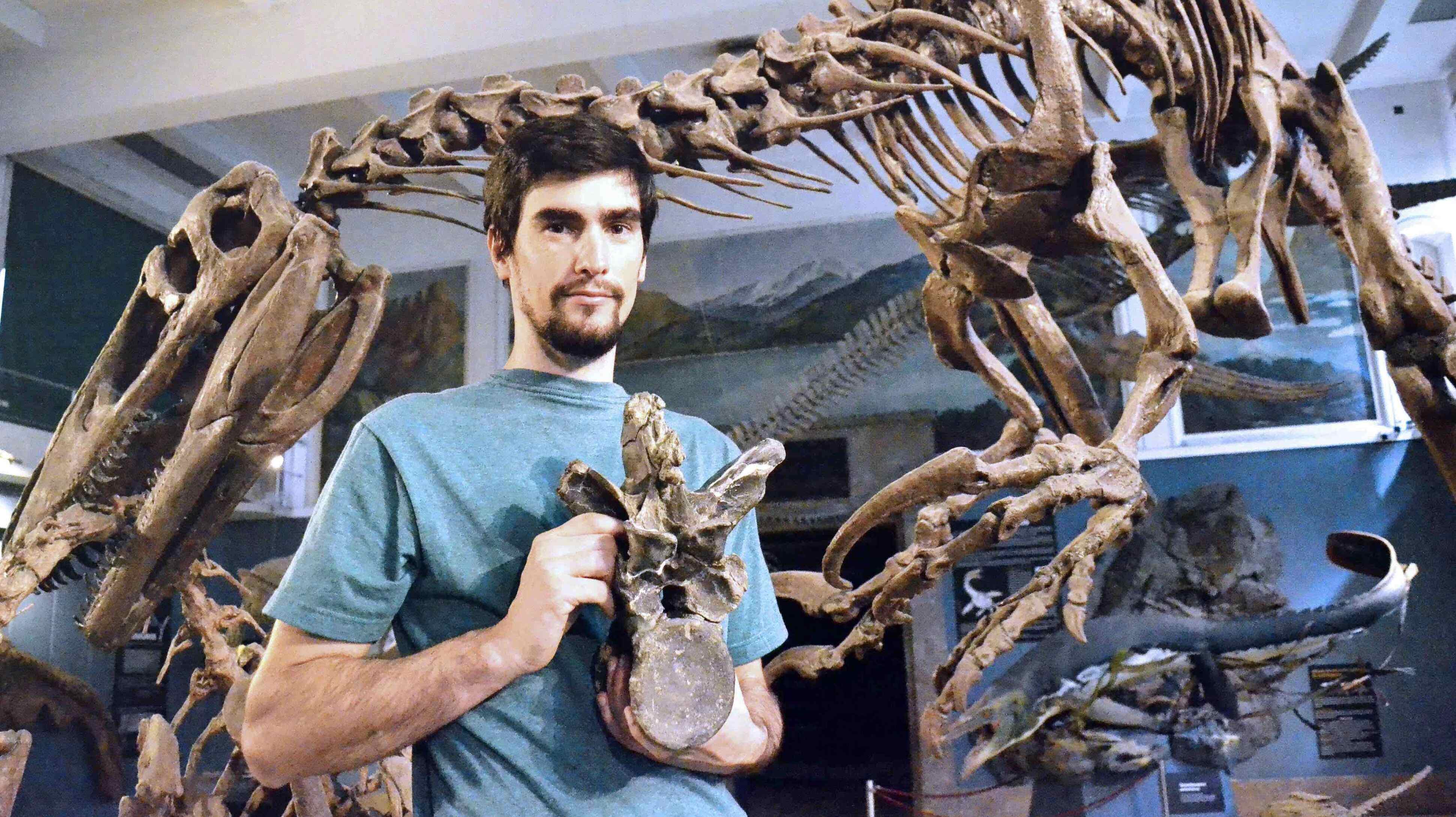 マイプマクロソラックス」の画像素材 写真・イラスト- イメージマートimagemart