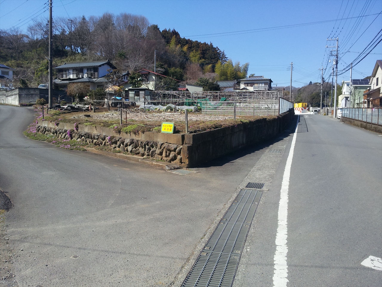 高取山(荻野高取山) ミツマタ桃源郷のついでに 厚木市荻野運動公園駐車場からピストン / 金子和広さんの大山の活動日記