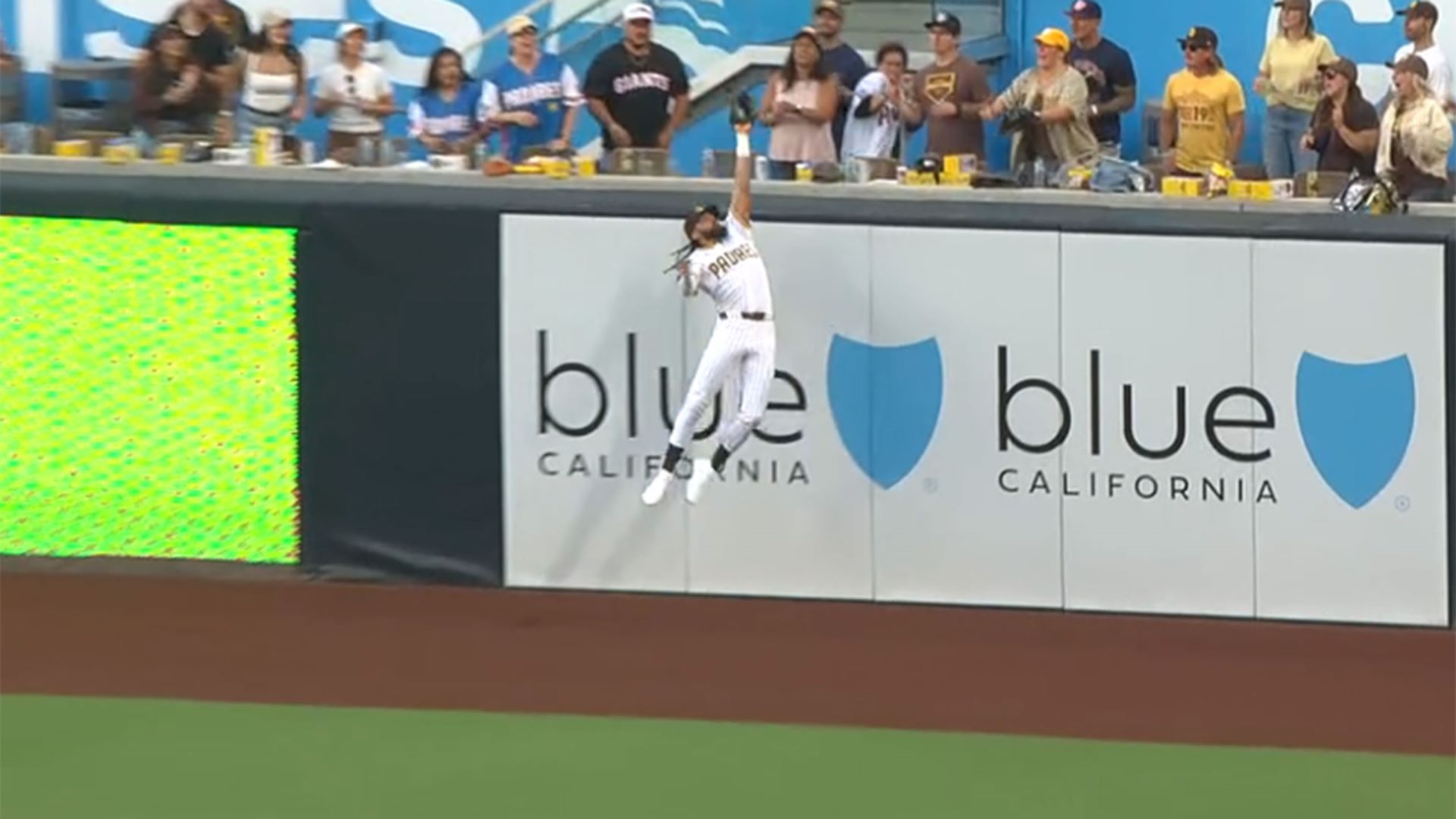 契約延長のエドマンはスタンフォード大出身で佐々木麟太郎の先輩 野球コーチの父親から学んだこととは？ - スポニチ Sponichi Annex 野球