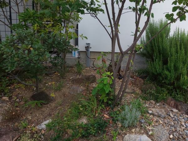 ご自宅のお庭に自動散水ホースを設置│水やりが快適になった事例 大阪府豊中市大阪・門真市・堺市・京都・奈良の植木屋村上造園