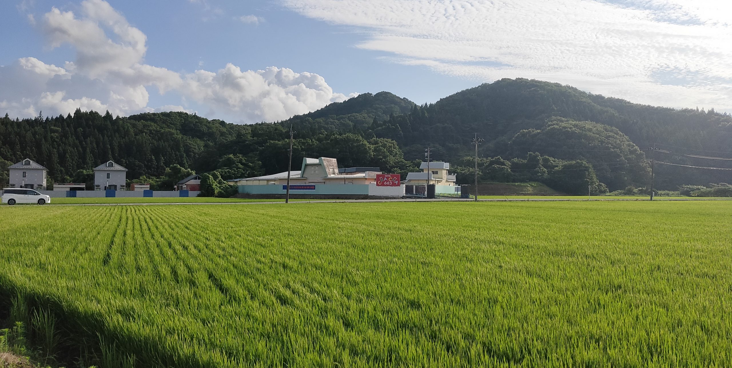 鶴岡で人気・おすすめのデリヘルをご紹介！