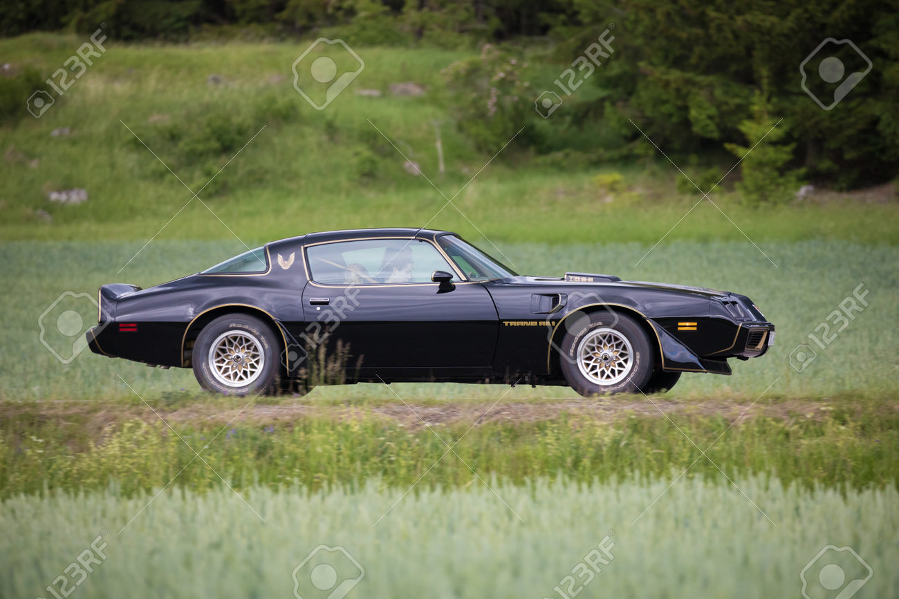 グリーンライト 1 43 1979 ポンティアック ファイヤーバード トランザム ハードトップ 