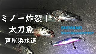 らすたひたすら - 楽天ブログ