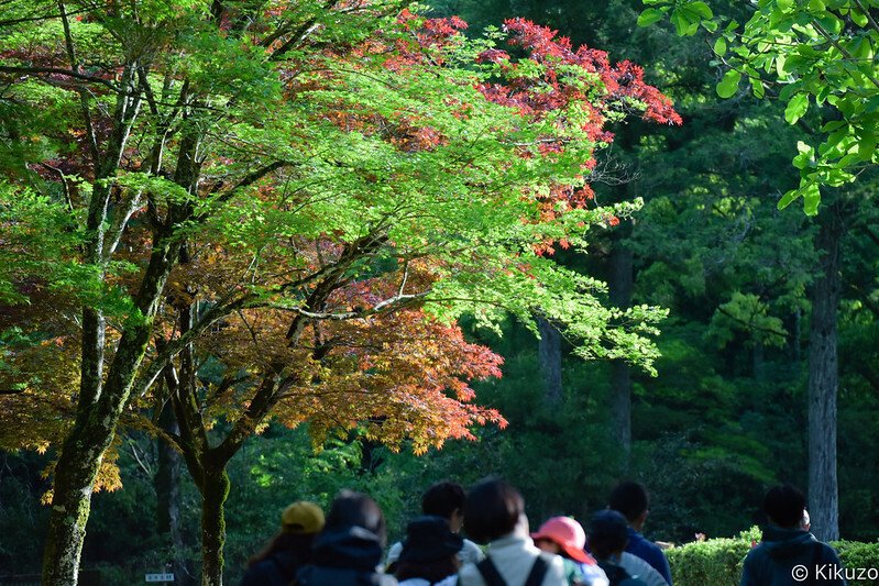 コラム 相乗り集合場所の駐車場に対策 - 運送業許可大阪.com