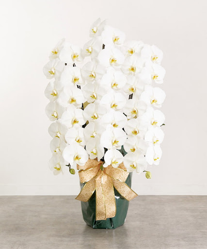 にもすけ様専用 手書き サンキューカード 匿名配送 即購入OK☆複数購入値下げOK様専用 サンキューカードオーダーお承りページ 猫好きに！オーダーメイド で作る！ 愛猫の オリジナル イラスト キャンバス メイク ポーチ 〜シンプル〜 ネコ好きへのギフトに