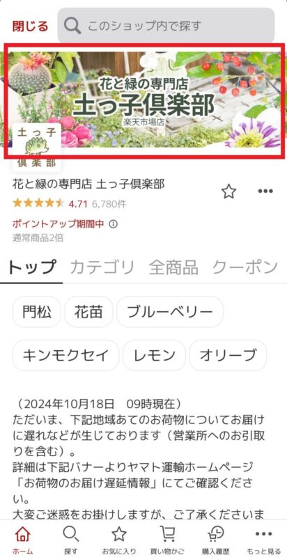 楽天で売れる商品ページ作成の極意！必要な要素からポイントまで解説ピュアフラット