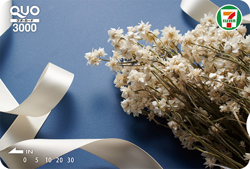 意外と知らない「QUOカード クオカード 」の使い方 買えるもの、買えないものとは？ - OTONA LIFEオトナライフ