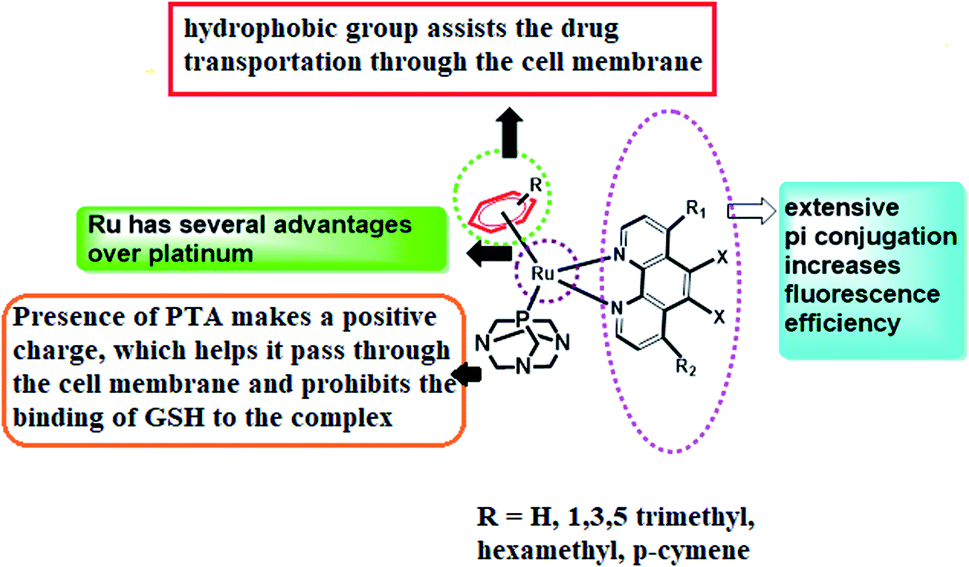 Terephthalic acid - Wikipedia