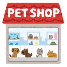 ペットの専門店コジマ 株式会社コジマ 人事・広報アカウント@petskojima_jinji• Instagram photos andvideos