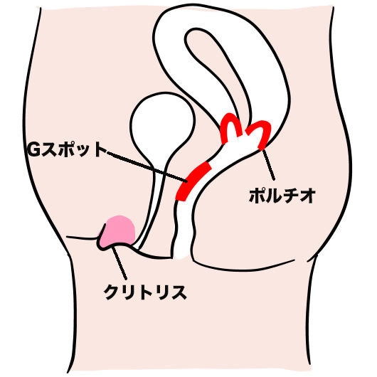 乳首が性感帯の人は50%！？「おっぱい」にまつわる意外な雑学 | TABI