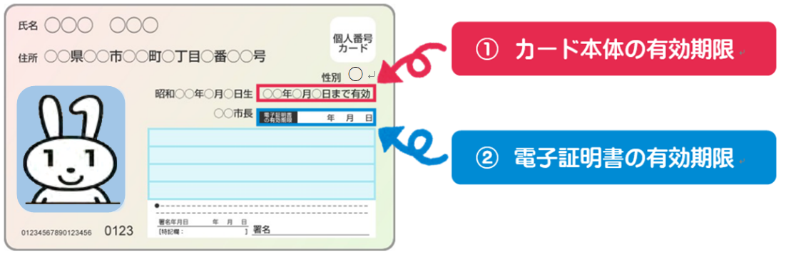 新潟市 マイナンバーカード 普及促進キャンペーン