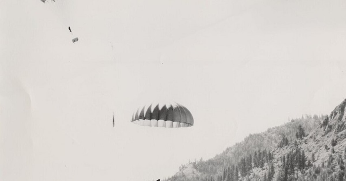 人間以上に巧みなダムづくり 気候変動と闘うチェコの「野生の施工業者」ビーバー：朝日新聞GLOBE＋