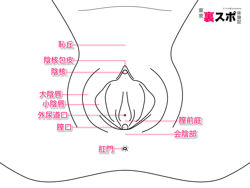 腕が太いマエカワくんに腕トレのコツ聞いたら衝撃だった