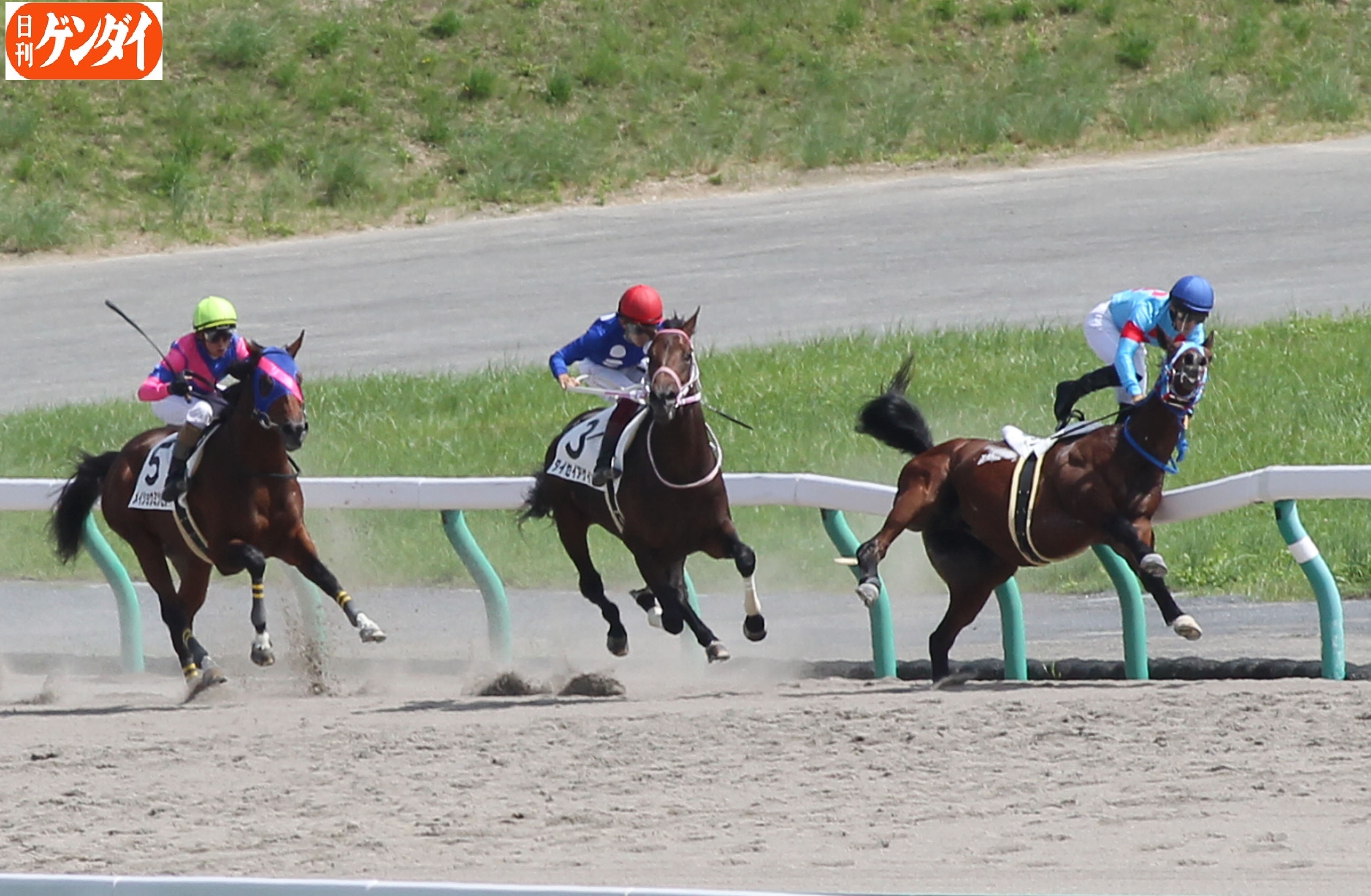 フラワーC ミアネーロ重賞初制覇 6分の発走遅れは内ラチの修理 - スポニチ競馬Web