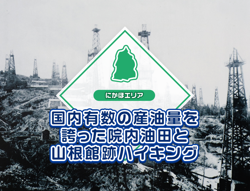 プレスリリース TOWING、タイ王国有数の農業大学・カセサート大学と基本協定を締結、連携を強化 – 株式会社TOWING