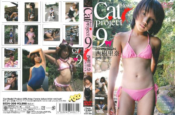 Amazon.co.jp: Catmodel Model Project