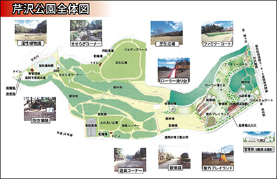 2024年 芹沢公園 - 出発前に知っておくべきことすべて