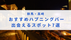 ハプバー（ハプニングバー）千葉（千葉駅・栄町）でエロプレイ - ハプニングバー アグリーアブル