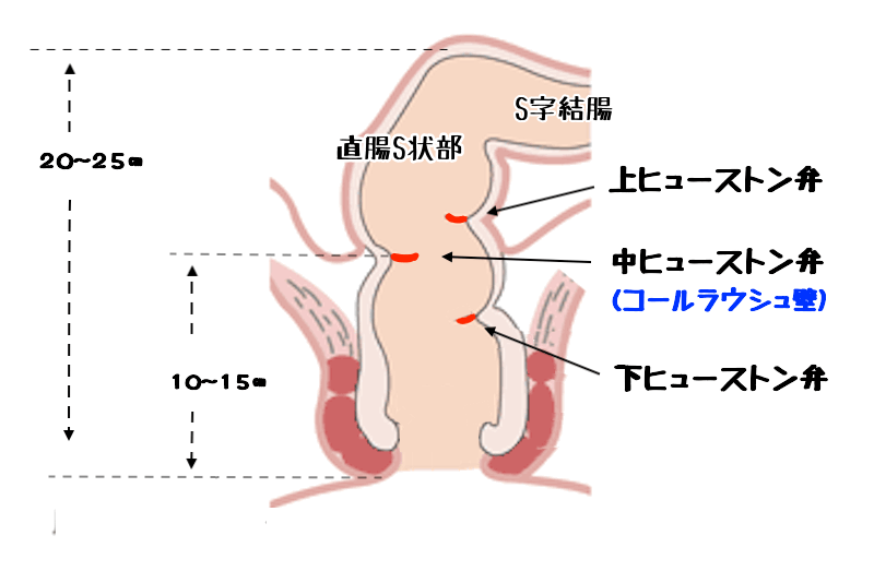 男同士でセックス（ゲイプレイ）するやり方を紹介！準備方法や気持ちいい体位も｜風じゃマガジン