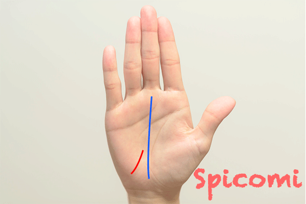 手相占い徹底解説！7大線と幸運な手相7選！│資格のキャリカレ