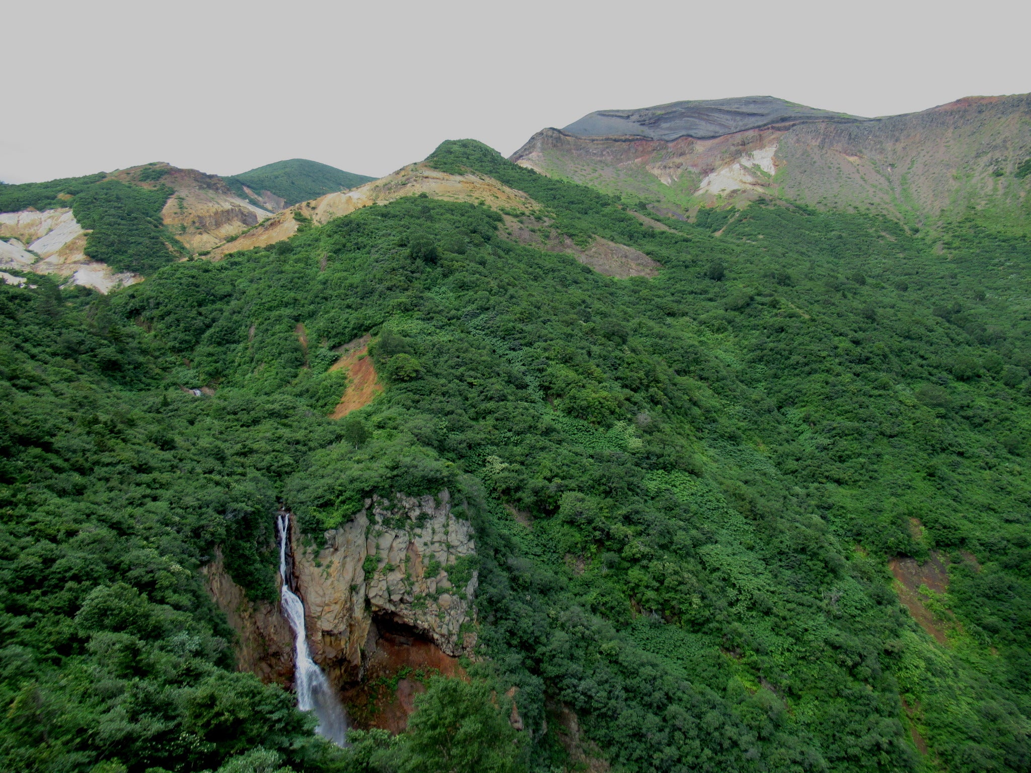 駒草平 蔵王山ニッポン旅マガジン