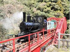 マイントピア別子 道の駅 あかがねキッズパーク 温泉 遊べるテーマパーク - あははライフ