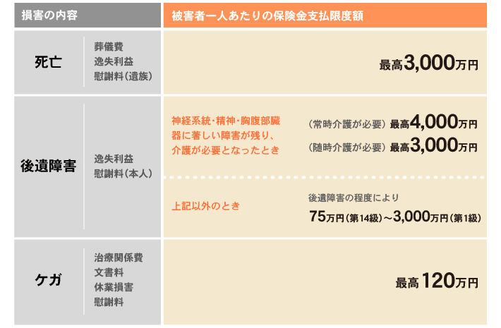 車検証＆自賠責保険証のコピー積載はNG? バイクに積載義務のあるものまとめ│WEBヤングマシン新車バイクニュース
