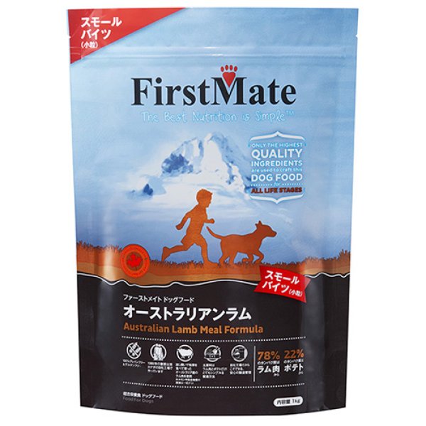 洋梨 VF1218 食品サンプル フェイクフード ディスプレイ フルーツ 洋ナシ 西洋ナシ ラフランス