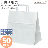 ギフト以外にも使える！ダイソーの紙袋が「何かと便利」「おしゃれで実用的」 - macaroni