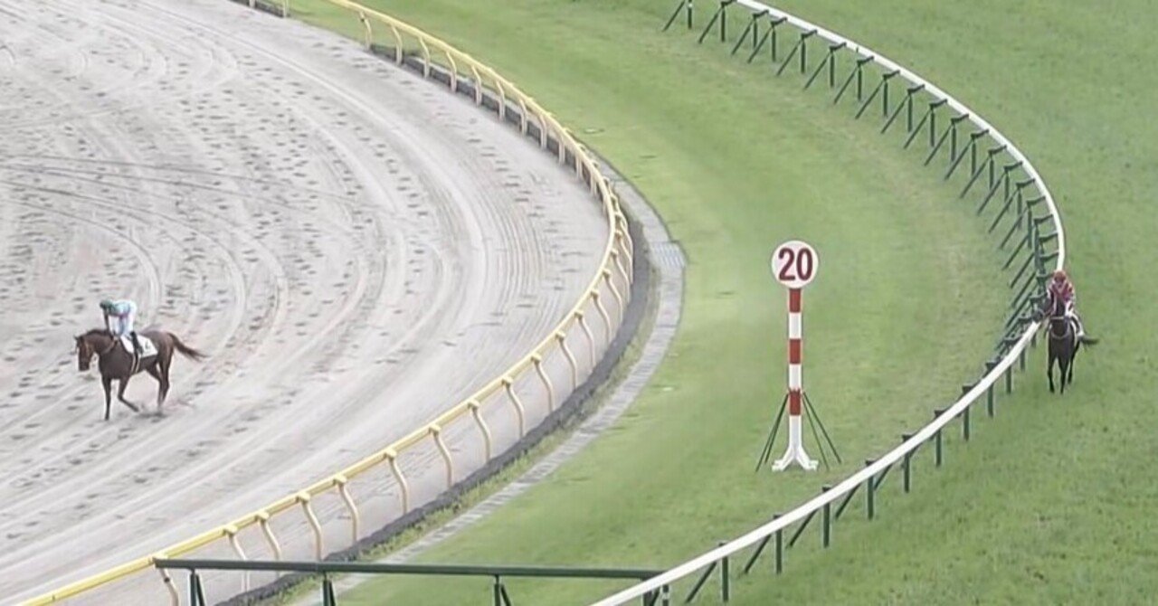 2歳新馬・東京5R コントレイル産駒ゴーイントゥスカイが内ラチ沿いから猛追V - サンスポZBAT