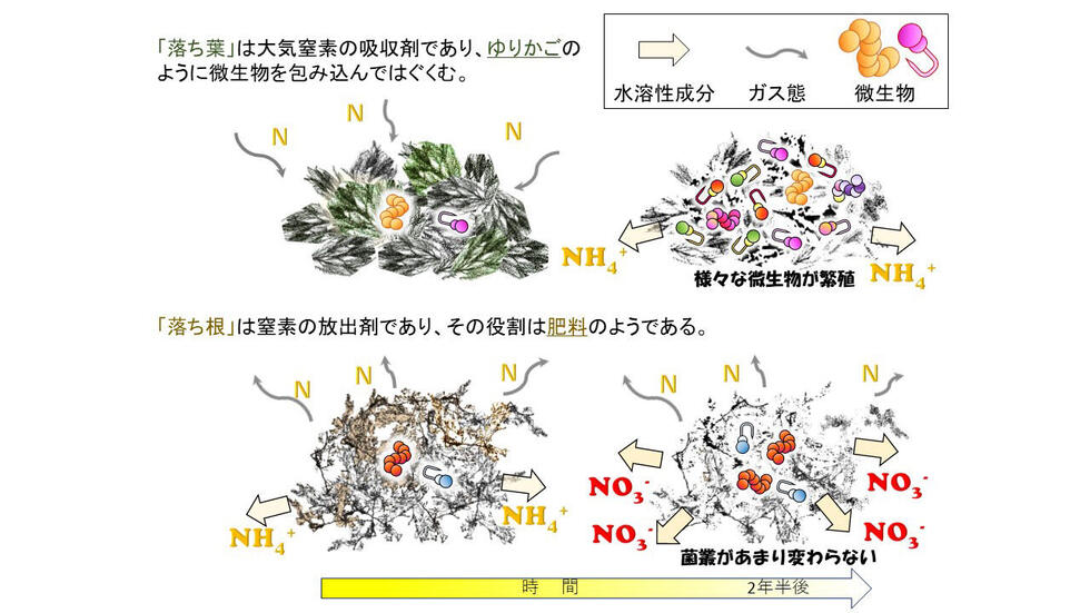 ゆりかご - Wikipedia