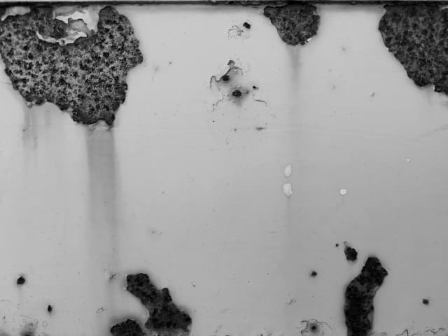 シンクのサビを徹底除去！効果的なサビの落とし方と予防法を紹介 - セーフリ