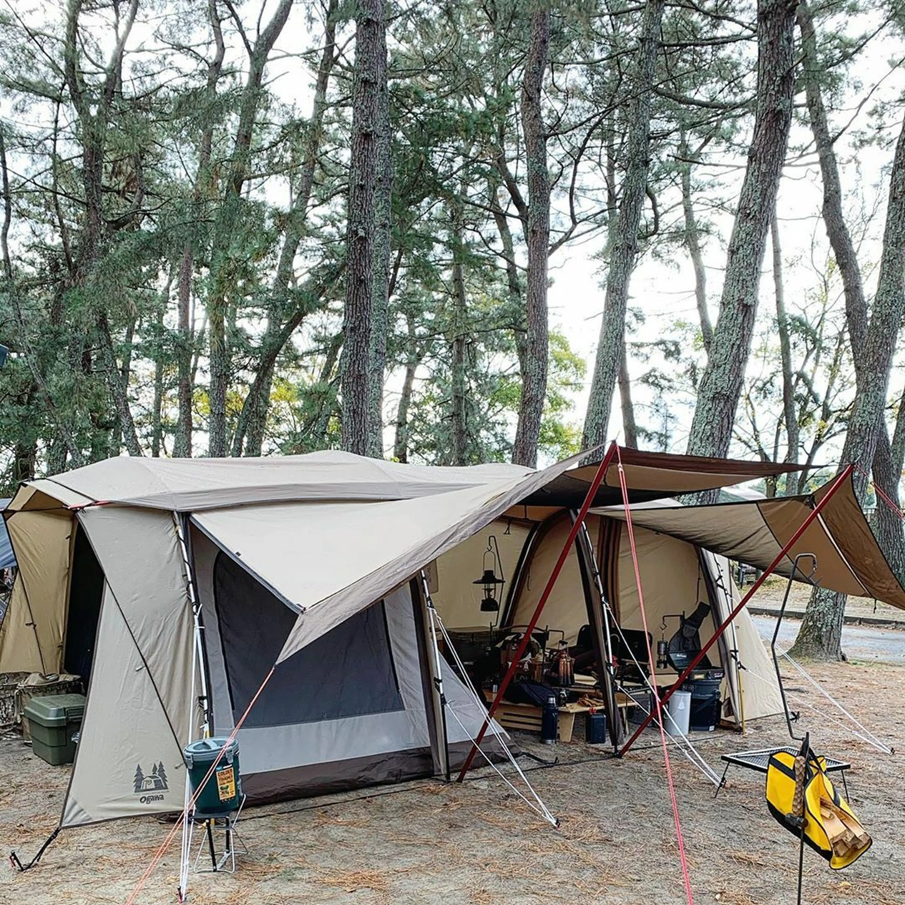 アポロンS 設営,テント設営 ,ogawa,テントはogawa,アポロンs ,アポロン ,渋谷パルコ,shibuyatokyo,tentcamping,デュオキャンプ初心者