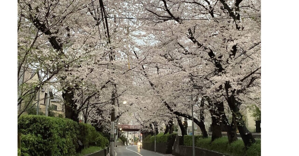 市島 琳香 |