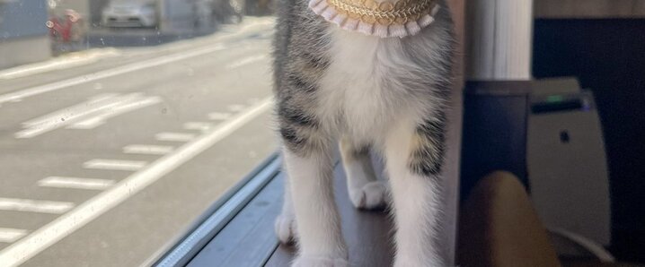 Snow Manの「素のまんま」、新曲「愛のせいで」に期待高まる！ 2025 10 09 SNSのバズまとめ - Yahoo!リアルタイム検索