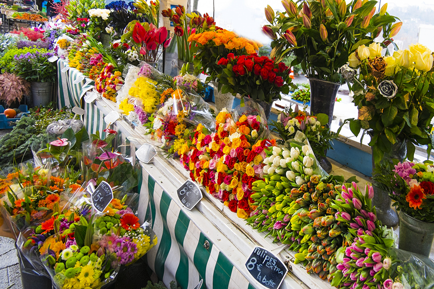 フリーマーケット・朝市・マルシェとは？蜂坊主のブログ Bee's Fishing Craft