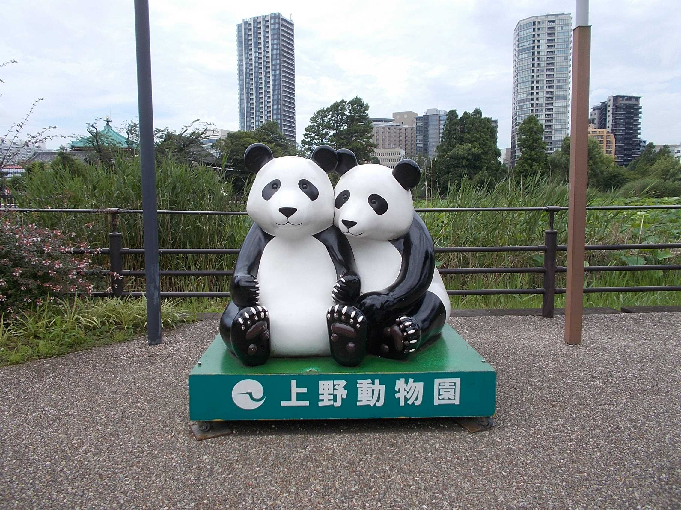 こんばんは♪トレーナーの田牧です😉 初めて上野動物園に行きました🐅 入場料が600円というコスパの良さにびっくりしました🙄 