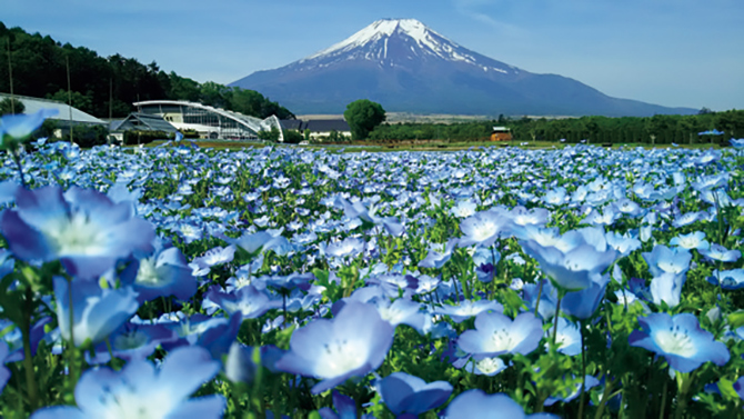 とんでいった ふうせんは ジェシー・オリベロス 文