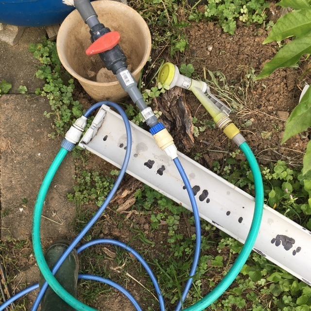 長期 4週間 の留守中に自動給水「水やり楽だぞう」を自作したら・出発10分前のドタバタ劇Satominiのパリでミニチュア粘土☆想いを形に♪ La Petite Masion＋α