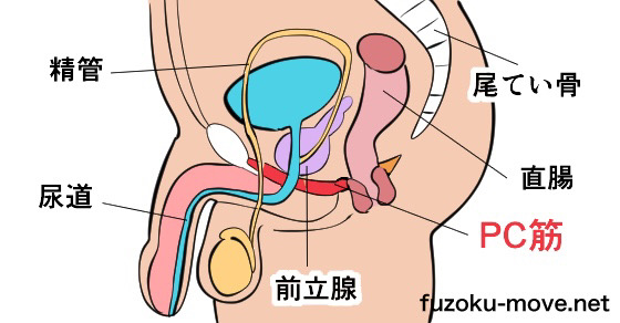 私は手を使わずにイケる」。 アダルトショップの