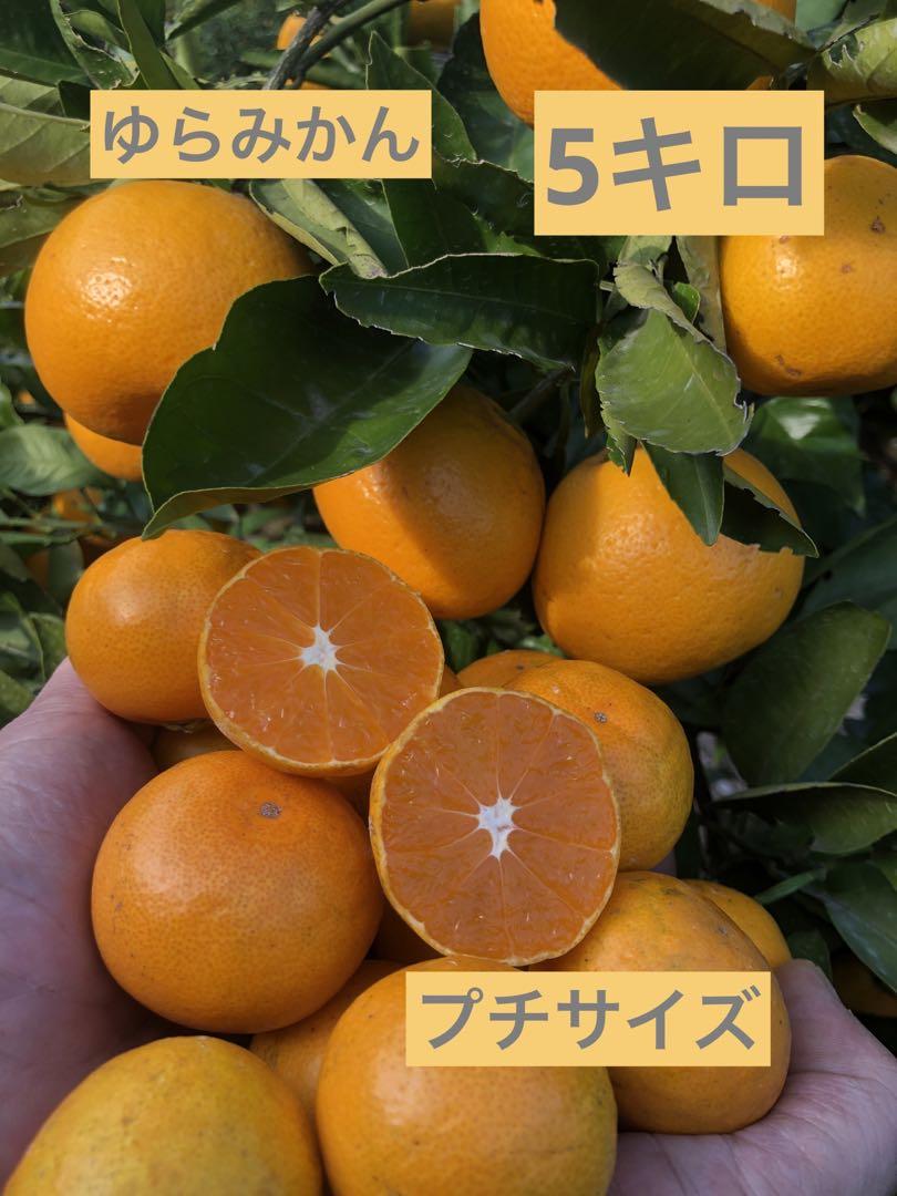 美味しい焼き鳥と泥酔人間を許せる寛大な心とは。 | いくこのナチュゆら日記